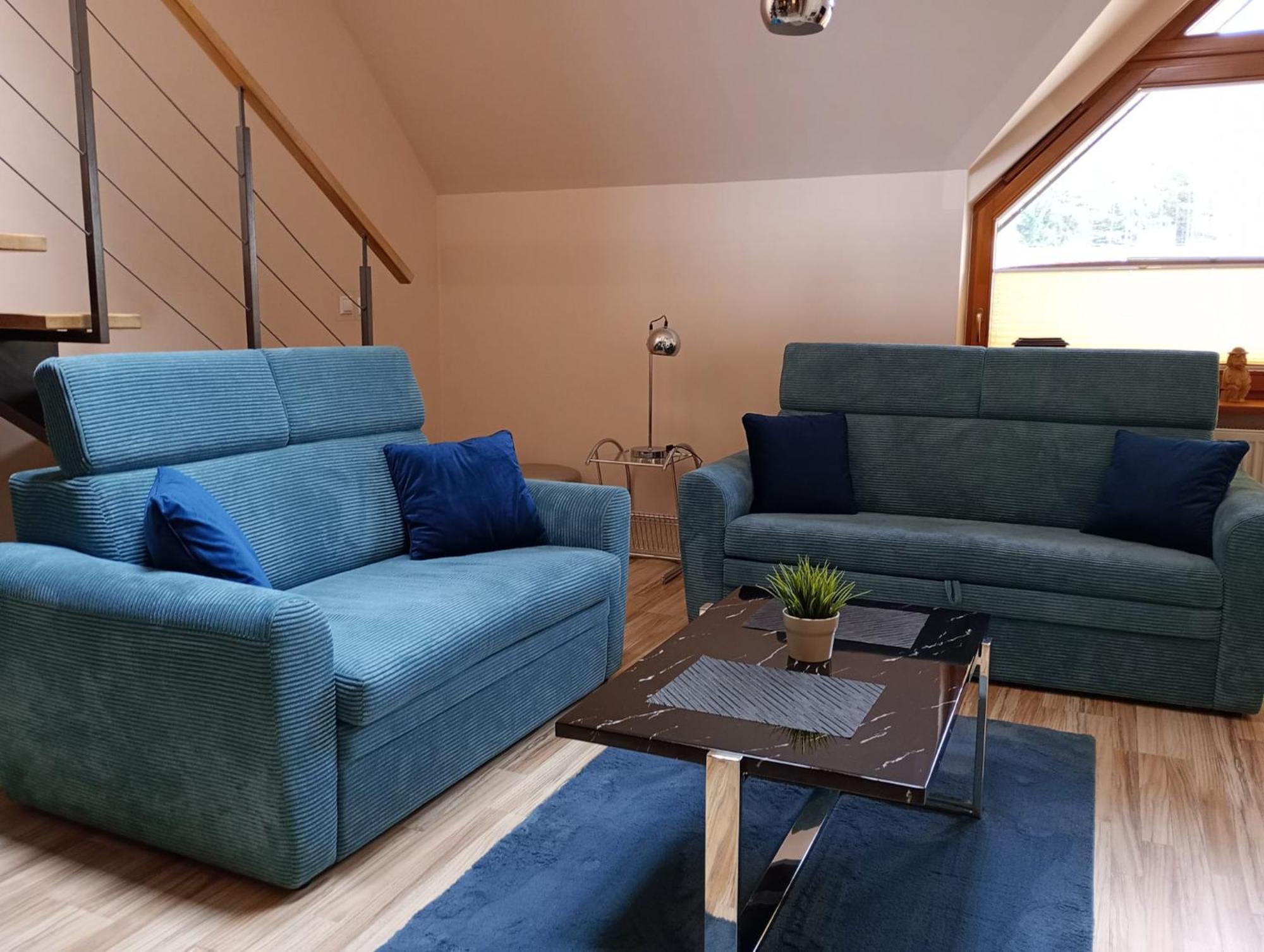 Viva Maria Apartament Zakopane Extérieur photo